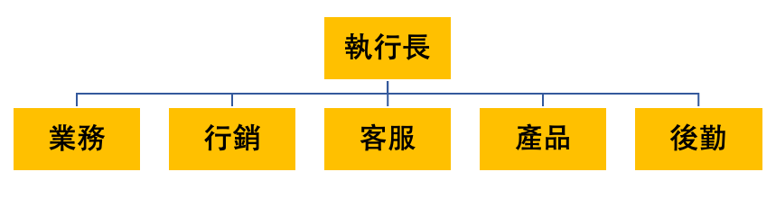 功能型組織架構 functional organization structure