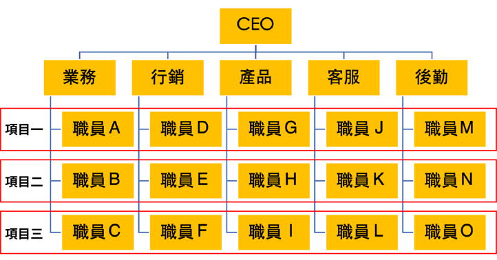 矩陣型組織架構 matrix organization structure